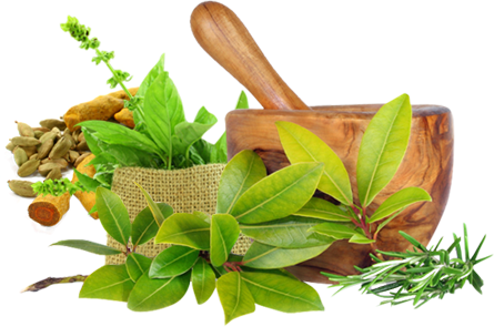 Panchkarma Treatment1